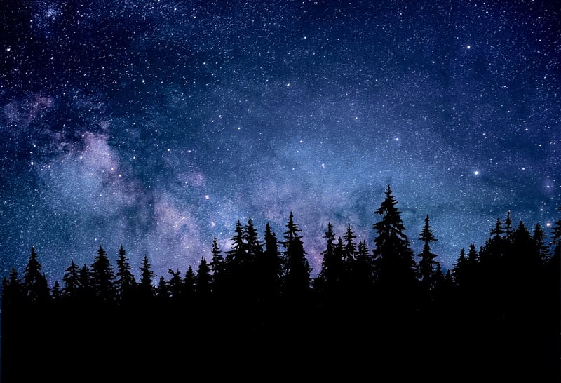 Constellation Bond